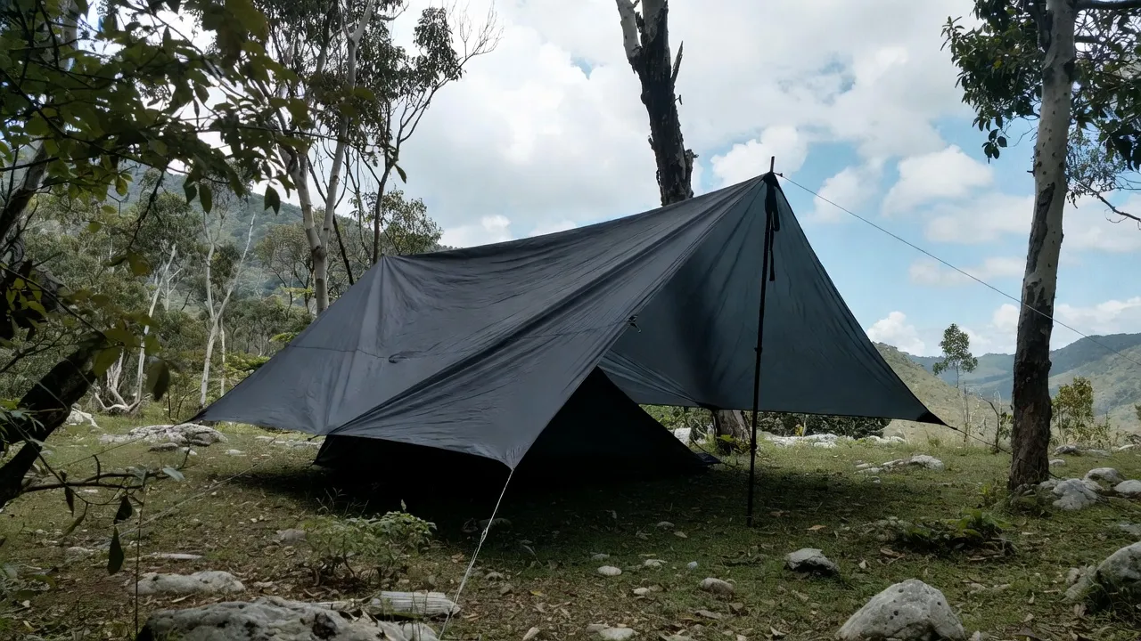 The Guide lines to Choosing th